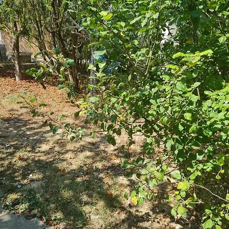 Appartement Miranda *