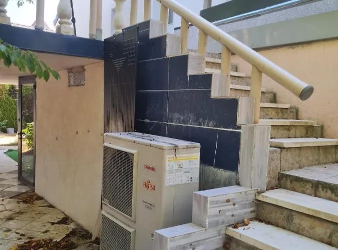 Miranda * Дижон