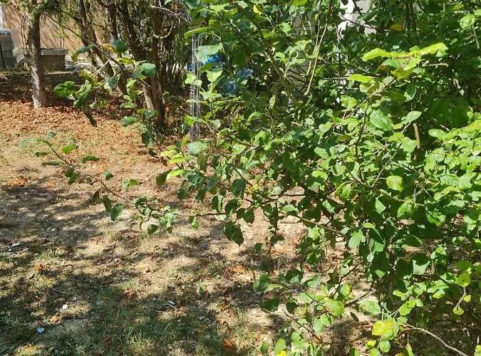 Appartement Miranda *