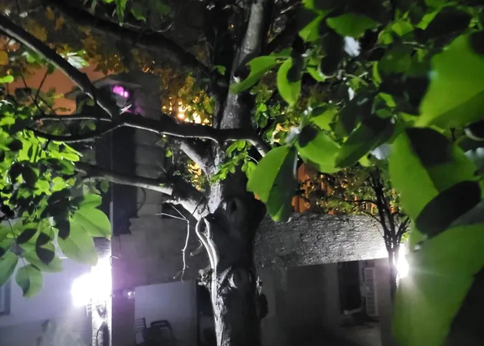 Διαμέρισμα Miranda Ντιζόν