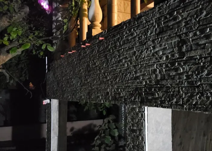 Miranda * Дижон